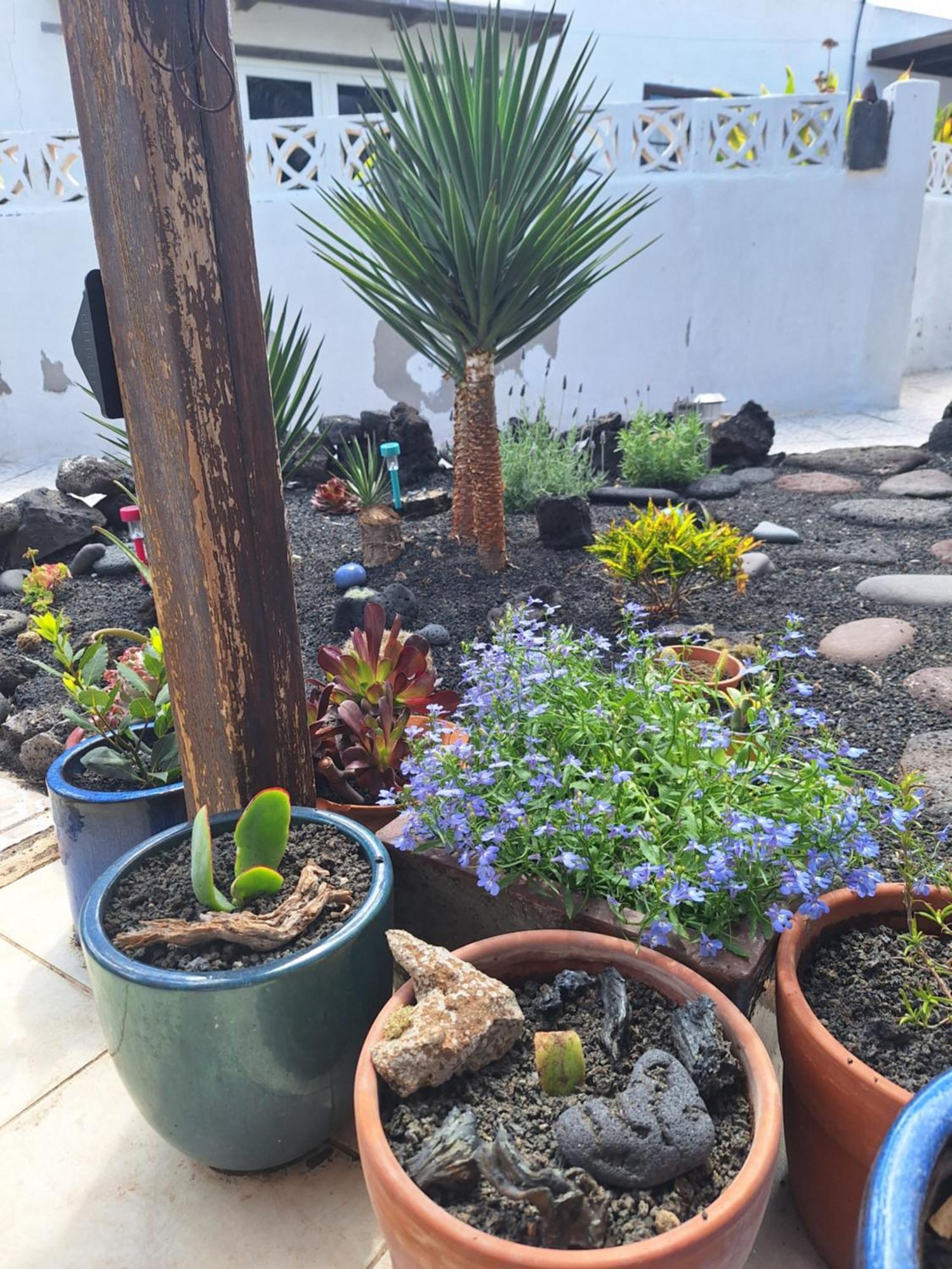 Вілла Casita Pequena Lanzarote Теґісе Екстер'єр фото